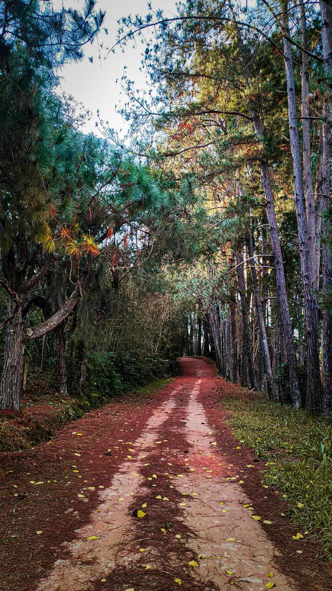 Pousada Colar de Ouro Chalés Cunha Exterior foto