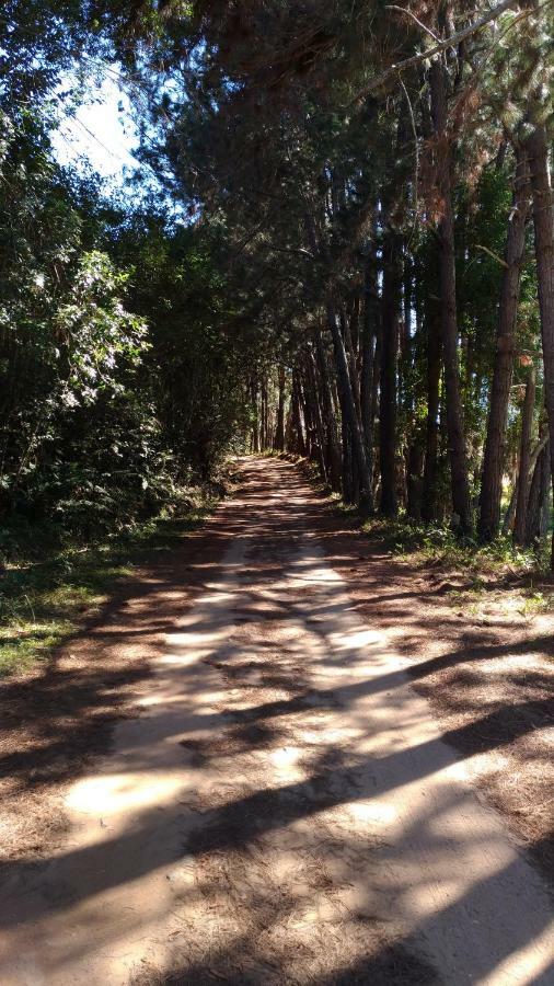 Pousada Colar de Ouro Chalés Cunha Exterior foto